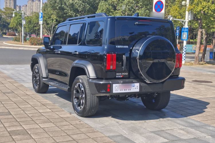 Used Tank 300 New Energy 2025 Hi4-T
