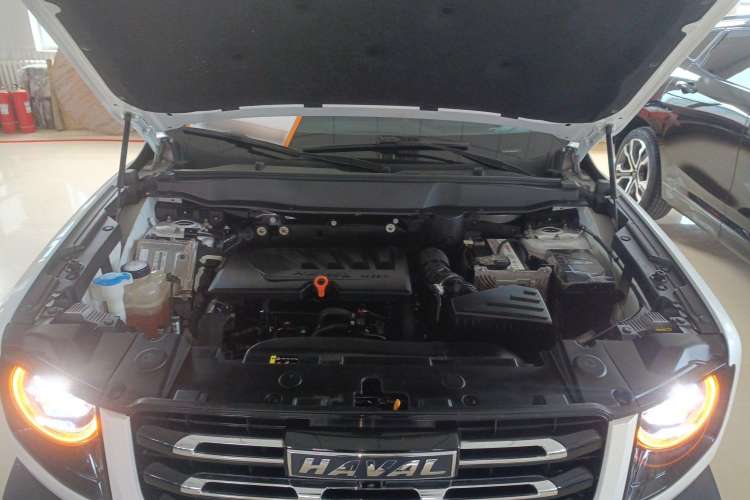 Used Haval DARGO 2021 1.5T DCT Two-Wheel Drive Border Collie - Wangcai Edition
