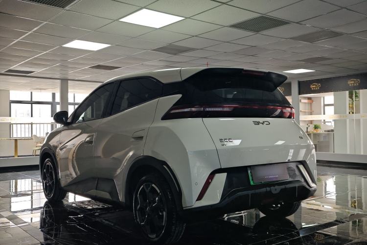 Used BYD Seagull 2025 305 km Free Version