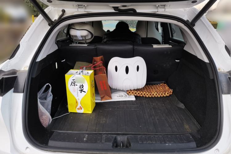 Used ARCFOX Alpha T5 2025 520 MAX