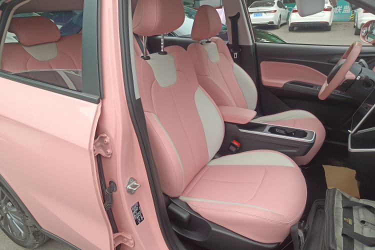 Used NETA V 2021 Witch Edition
