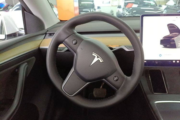 Used Tesla Model Y 2022 Revised Version Rear-Wheel Drive
