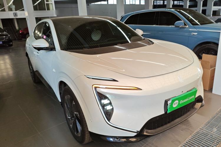 Used  07 2024 Pro Pure Electric Version
