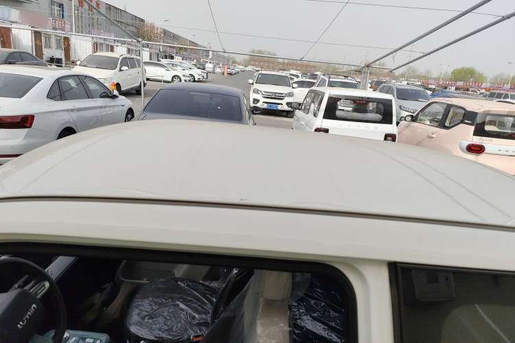 Used  Lumin 2023 301km Honey Dew Edition
