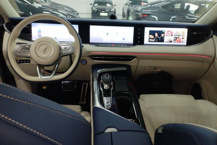 Used VOYAH FREE 2021 Four-Wheel Drive Standard Range-Extended Exclusive Luxury Package