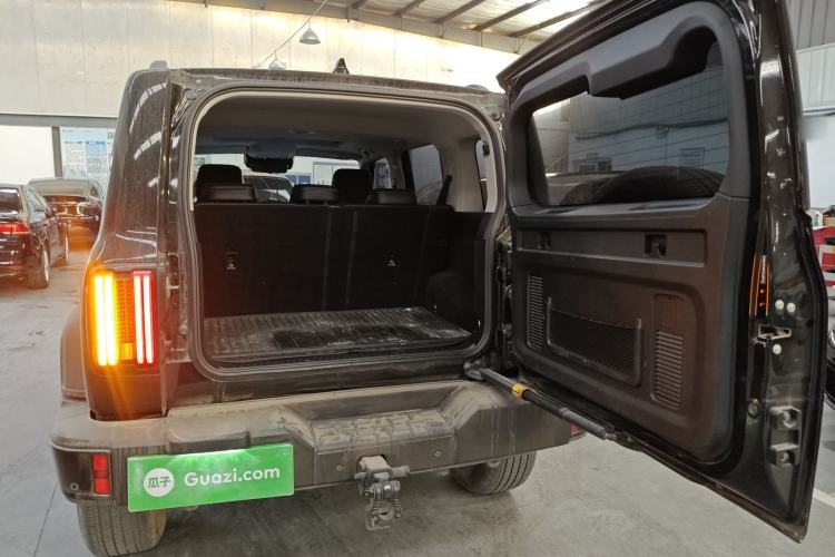 Used Tank 300 2024 2.0T Conqueror
