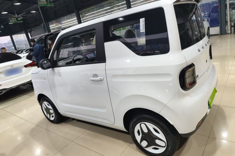 Used  Panda 2025 210 km – Yuanqi Bear
