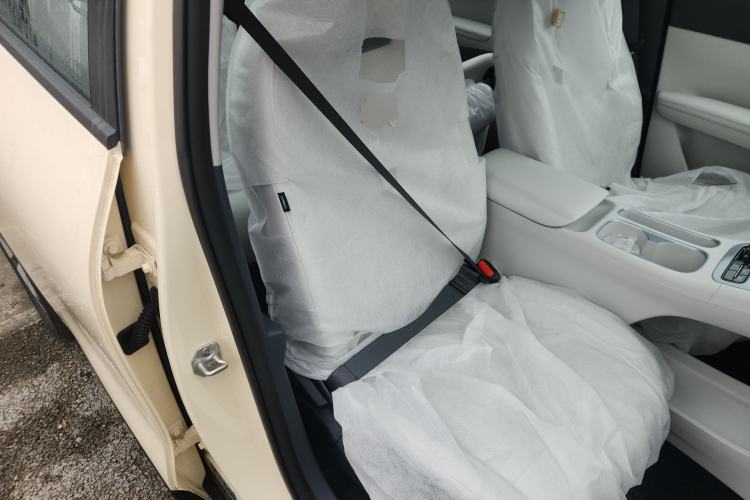 Used  Geome 2025 310km Youth Edition
