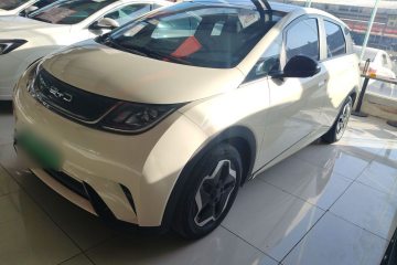 Used BYD Dolphin 2021 405 km Fashion Edition