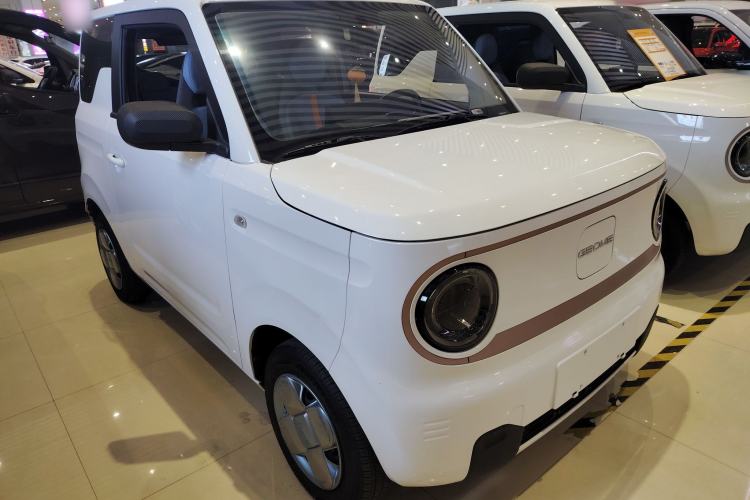 Used  Panda 2024 Panda Mini 200km Endurance Bear
