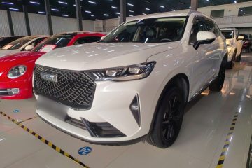 Used Haval H6 2021 3rd Generation 2.0T Automatic Two-Wheel Drive Max