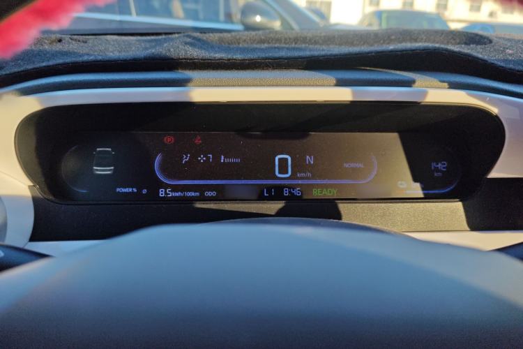 Used  Panda 2025 210km Panda Kart
