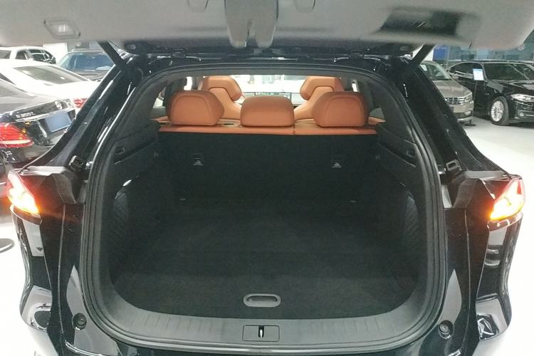 Used  S07 2023 200Max Range-Extended Version
