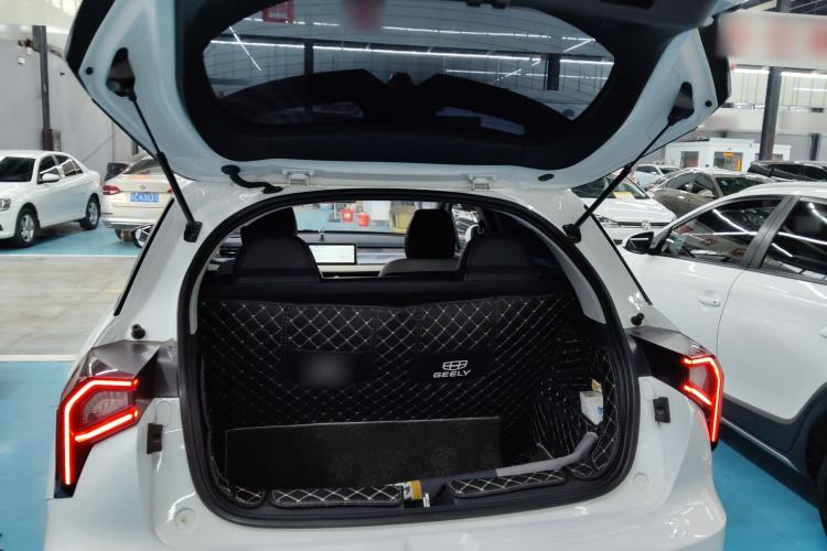 Used Geometry E Firefly 2022 320KM Cute Tiger 4-Seater
