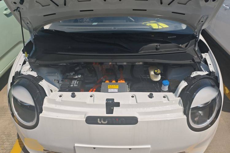 Used  Lumin 2025 205 km Xiangqin Version
