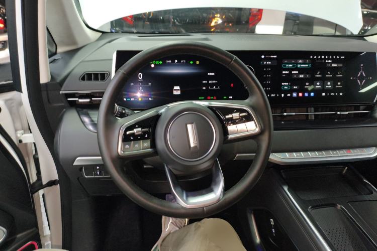 Used Wey Gaoshan 2023 Four-Wheel Drive Flagship Edition