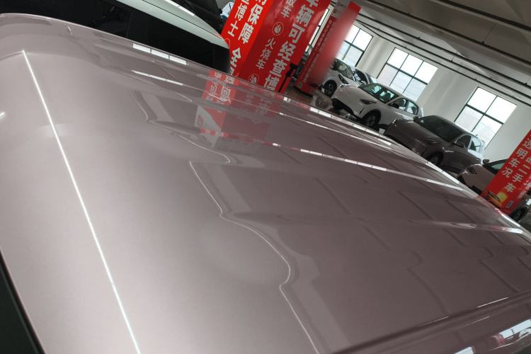 Used  Panda 2024 Panda Mini 200km Endurance Bear