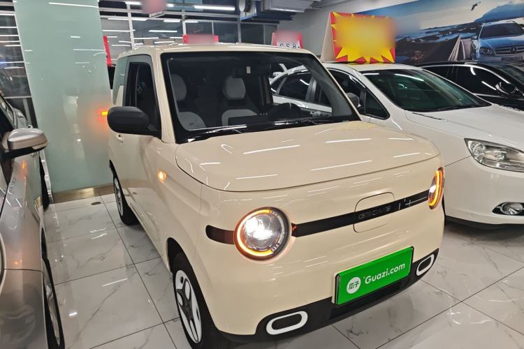 Used  Panda 2025 210 km – Yuanqi Bear