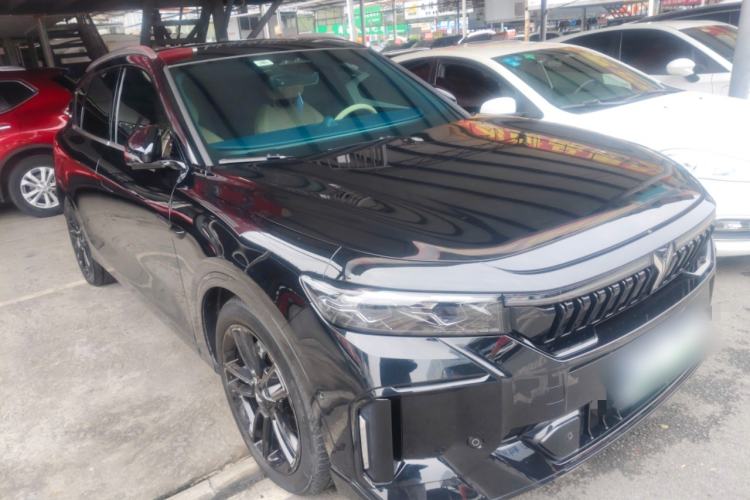 Used VOYAH FREE 2024 Ultra-Long Range Intelligent Driving Version
