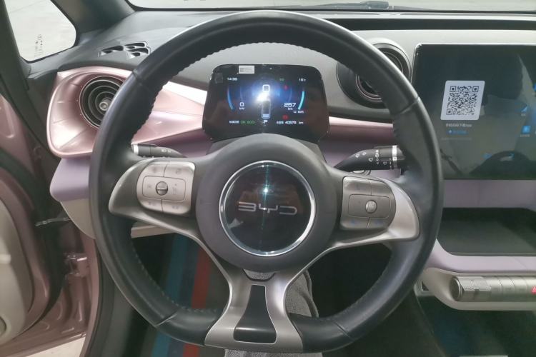 Used BYD Dolphin 2021 405 km Free Version
