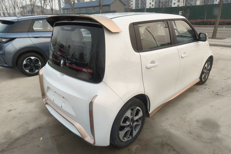 Used ORA White Cat 2022 Xiaoyue Mao Edition 360 km Luxury Model Lithium NMC
