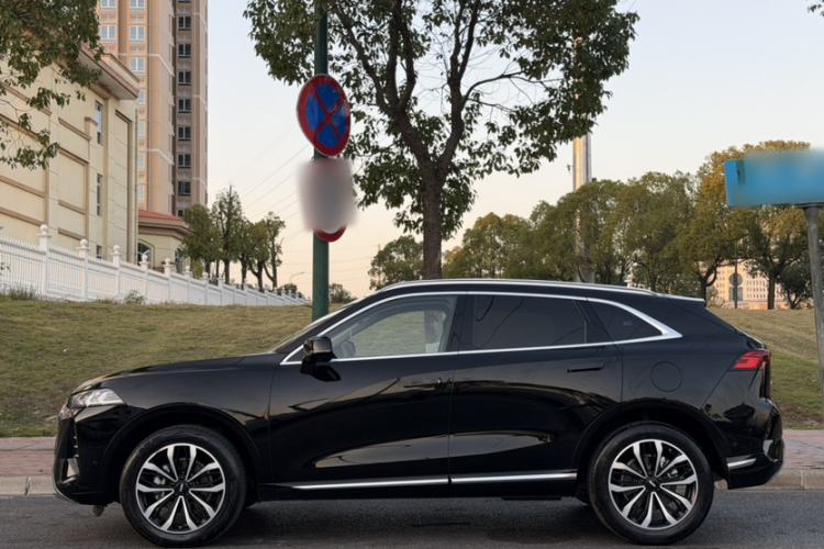 Used Wey Mocha 2021 2.0T Two-Wheel-Drive Premium Edition
