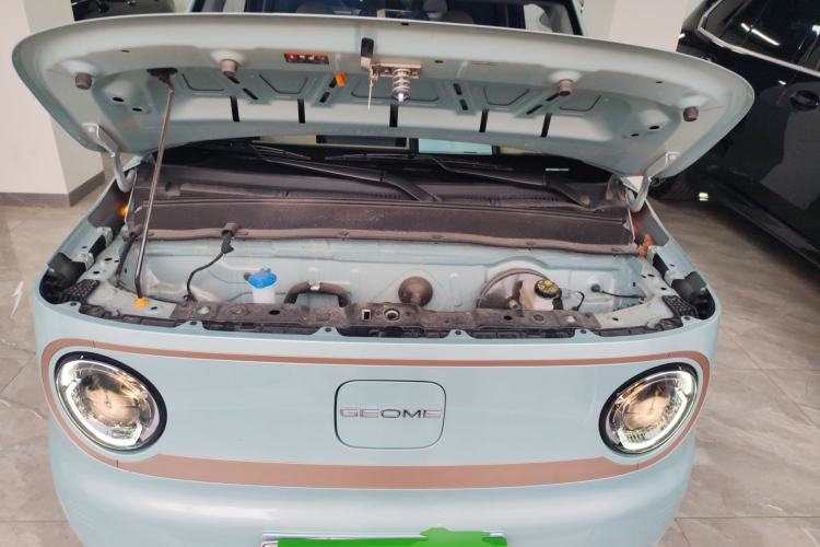 Used  Panda 2024 Panda Mini 200km Endurance Bear
