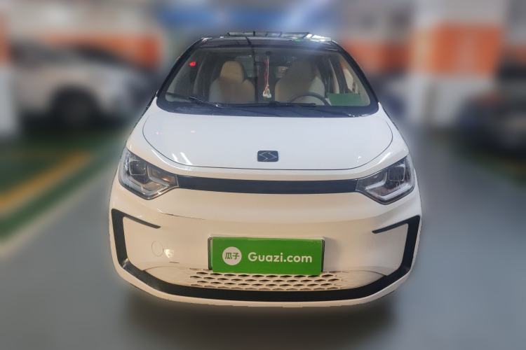 Used SOL E10X 2022 Flower Fairy Design Four-Leaf Clover
