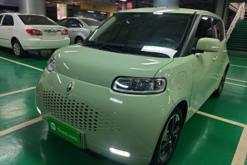 Used ORA White Cat 2020 305 km Luxury Version