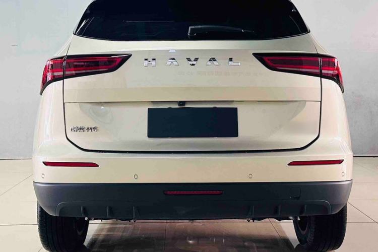 Used Haval H6 2024 1.5T Two-Wheel Drive Pro