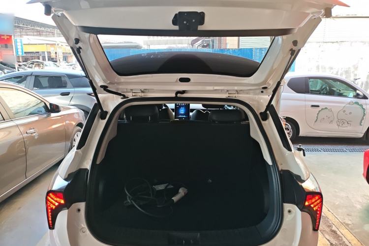 Used NETA V 2021 Long-Range Entertainment Edition Upgrade Model
