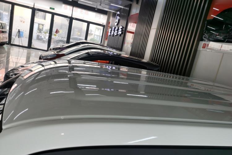 Used  Panda 2024 Panda Mini 200km Endurance Bear
