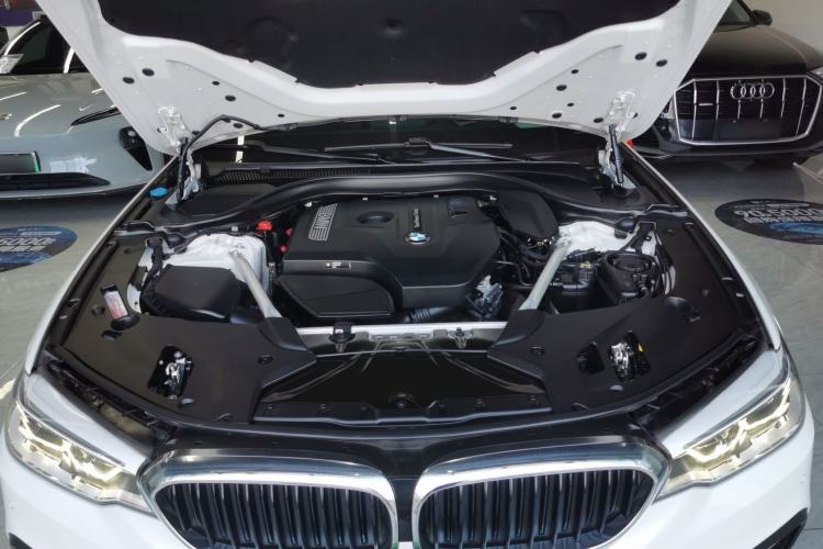 Used BMW 5 Series 2020 530Li Leading Model M Sport Package
