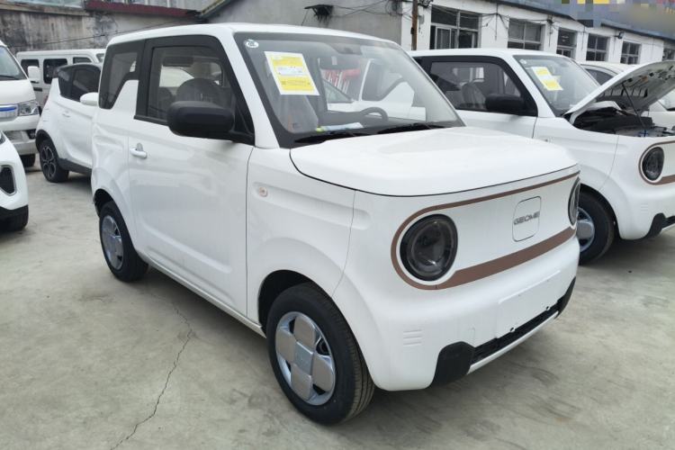 Used  Panda 2024 Panda Mini 200km Endurance Bear