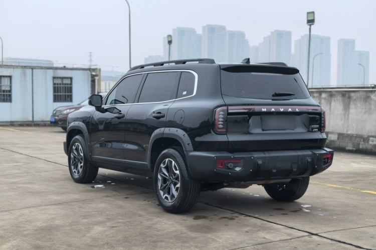 Used Haval DARGO 2024 2.0T DCT Chinese Rural Dog Edition