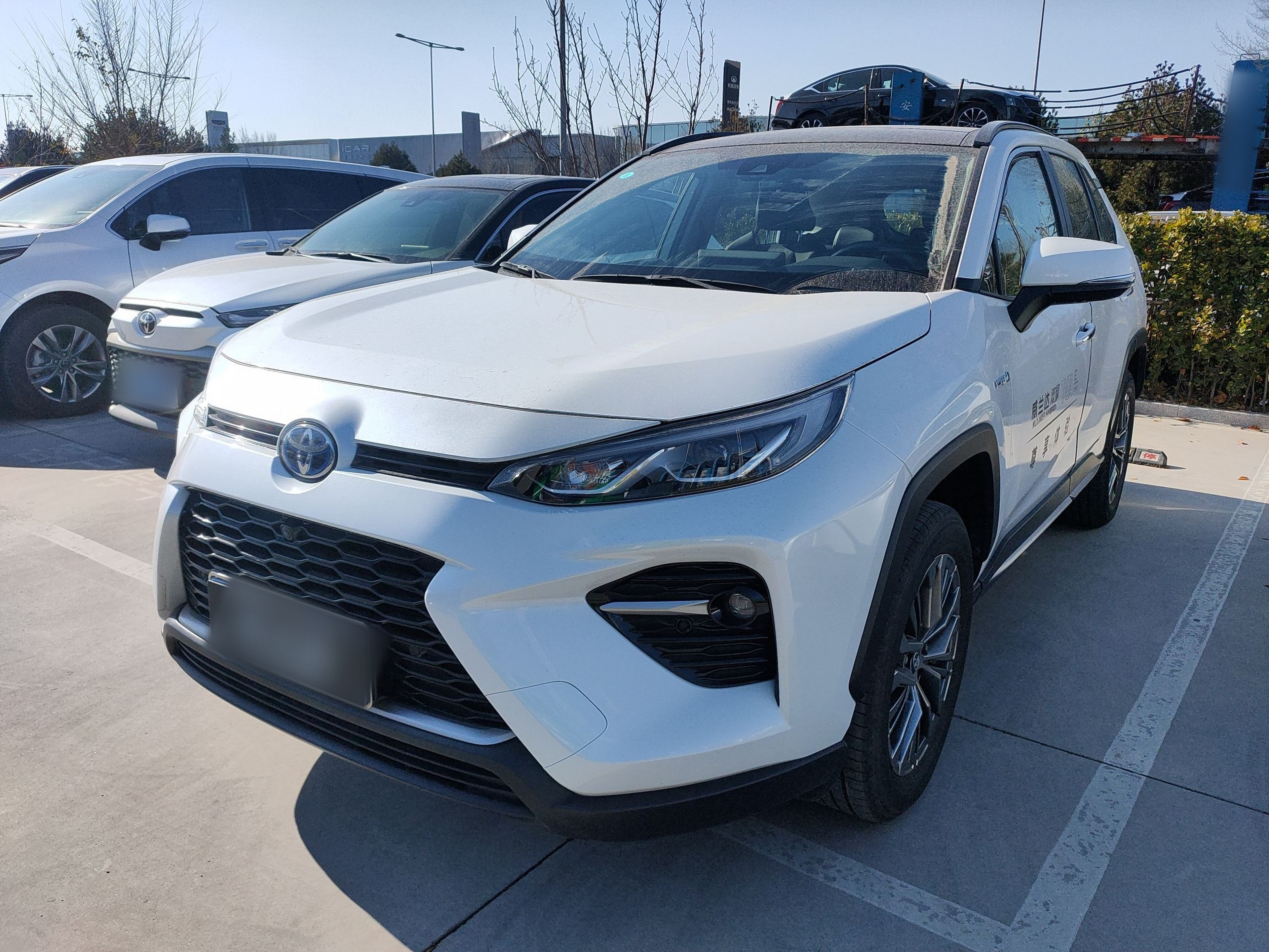 تحت مقدمة السيارة