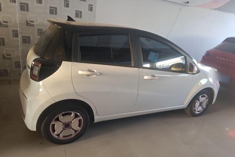 Used SOL E10X 2022 Flower Fairy Style Baby's Breath
