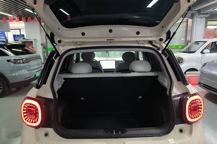 Used  3 2023 505km Pro
