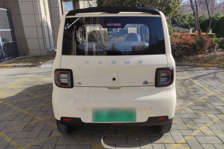Used  Panda 2025 210 km – Yuanqi Bear