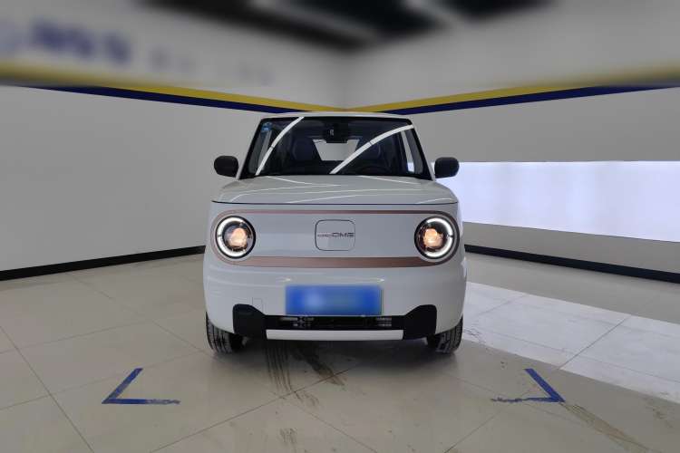 Used  Panda 2023 Panda Mini 200km Endurance Bear
