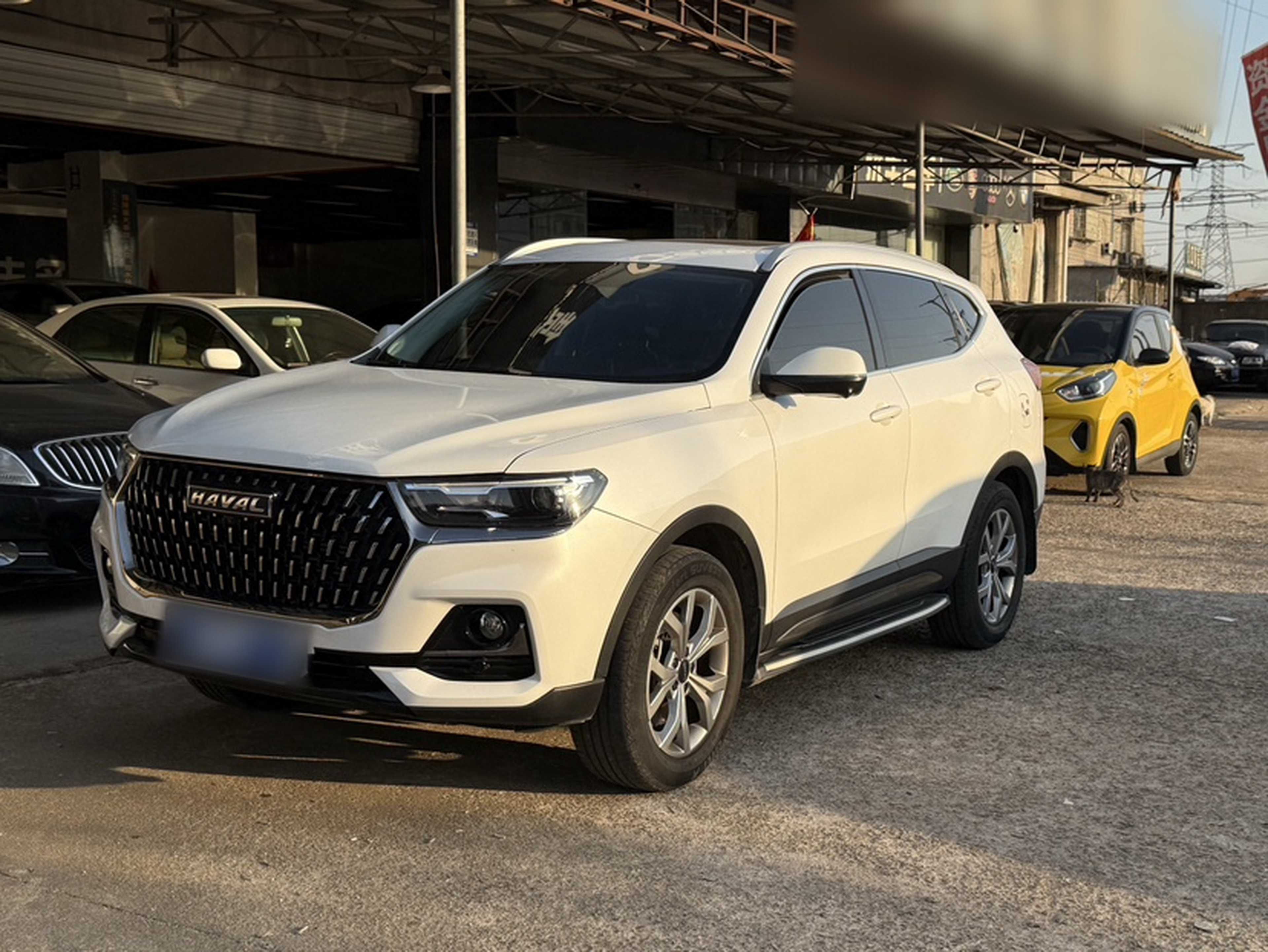 تحت مقدمة السيارة