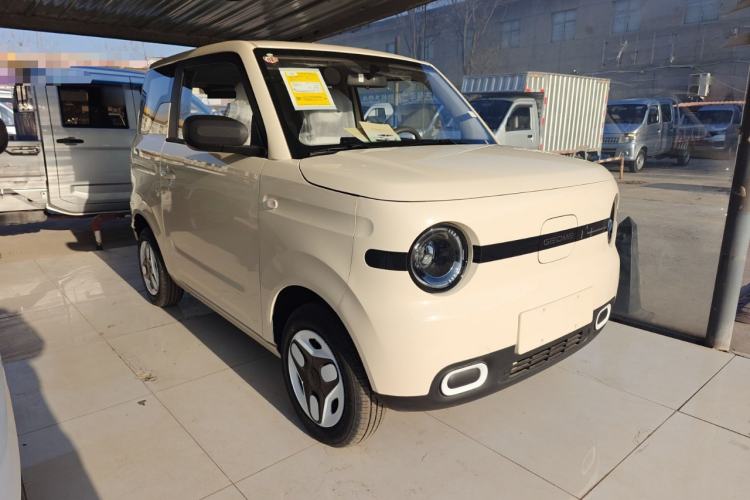 Used  Panda 2025 210 km – Yuanqi Bear