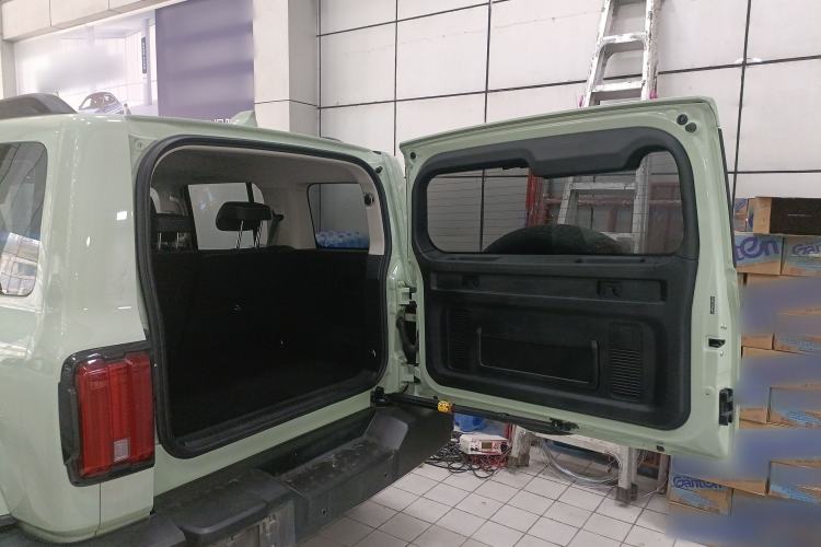 Used Tank 300 2024 2.0T Crosser
