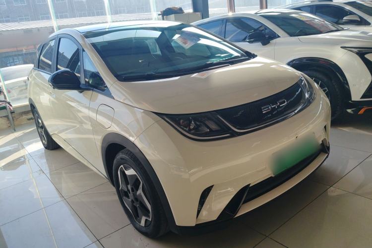 Used BYD Dolphin 2021 405 km Fashion Edition
