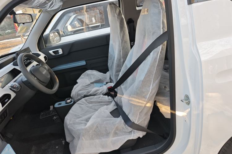 Used  Panda 2024 Panda Mini 200km Endurance Bear