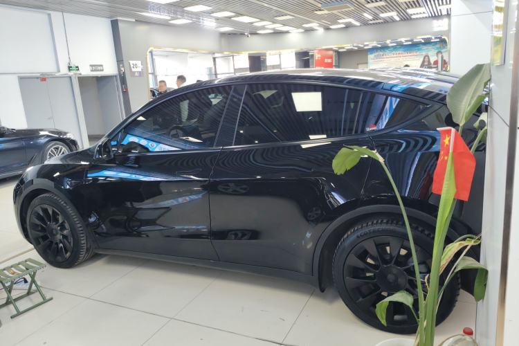 Used Tesla Model Y 2021 Standard Range Rear-Wheel Drive Version
