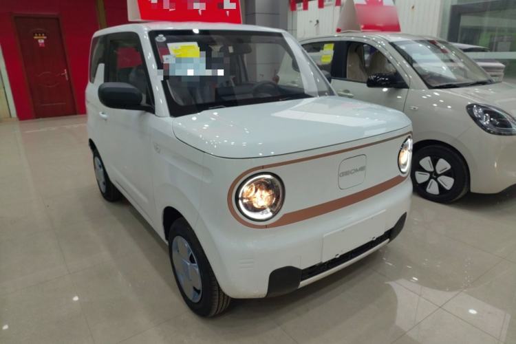 Used  Panda 2024 Panda Mini 200km Endurance Bear
