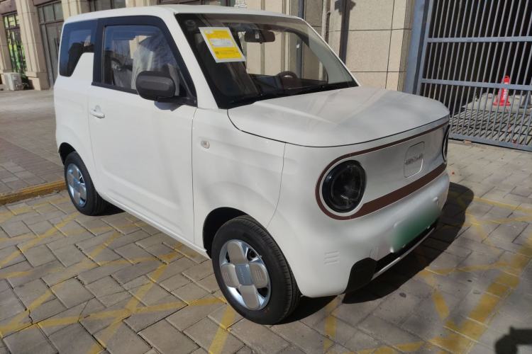 Used  Panda 2024 Panda Mini 200km Endurance Bear
