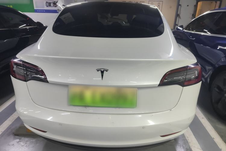Used Tesla Model 3 (Import) 2019 Standard Range Rear-Wheel Drive Upgraded Version (60 kWh)