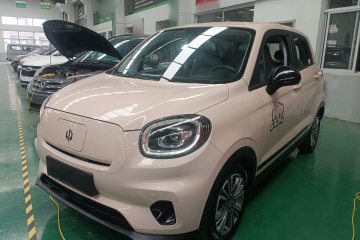 Used Leapmotor T03 2021 400 Micro-Sugar Version